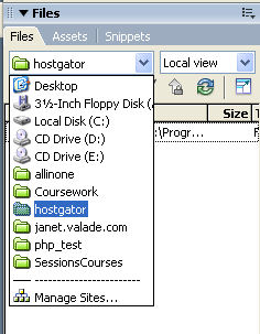 files panel
